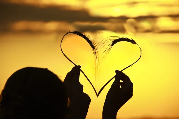 Symbole de coeur avec épillets de blé — Photo