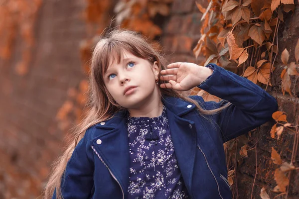 Niña Hermosa Cerca Una Pared Piedra Con Hojas Amarillentas Chica — Foto de Stock