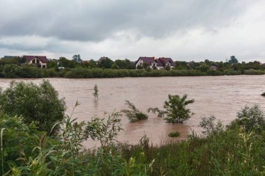 Ağaçların arasında kirli bir nehir var. Nehir kıyılarından taştı ve çalıları sel bastı.