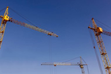 Mavi gökyüzünün arka planında üç vinç