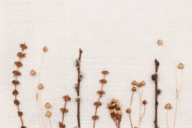 Dried twigs and dried flowers lie on a white canvas. Ethno background from dried plants
