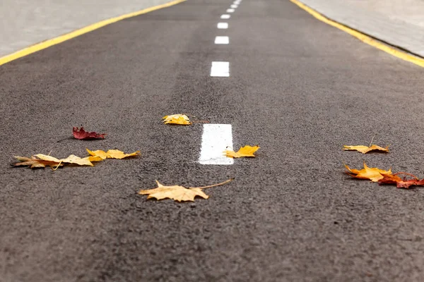 Piste Cyclable Automne Avec Des Feuilles Automne Dessus Une Route — Photo