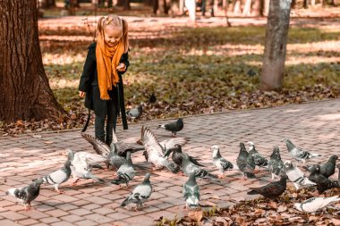 Sonbahar parkında güvercinleri beslemek. Sonbahar elbiseli küçük kız kuşları besliyor..