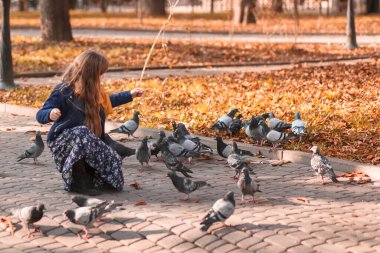 Küçük kız sonbahar parkında güvercinleri besliyor..