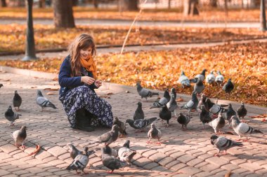Sonbahar çocuğu sonbahar parkında güvercinleri besliyor.