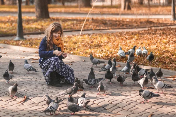 Sonbahar çocuğu sonbahar parkında güvercinleri besliyor.