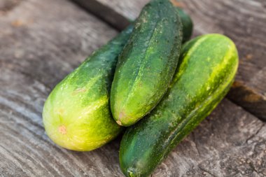 Olgun salatalık yığını