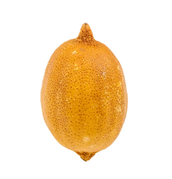 Dry lemon isolated — Stock Photo, Image