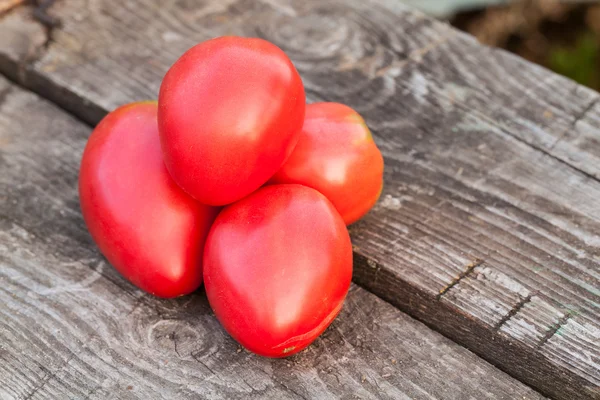 Tas de tomates mûres — Photo