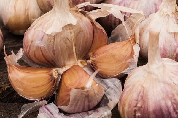 Rijp knoflook bollen — Stockfoto