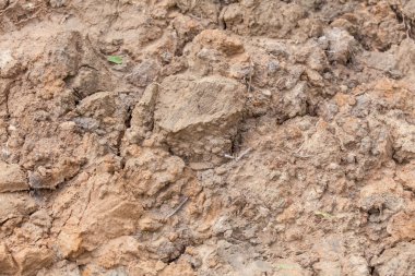 kahverengi toprak arka plan