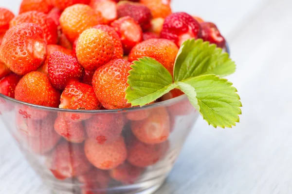 Cuenco con fresas maduras — Foto de Stock