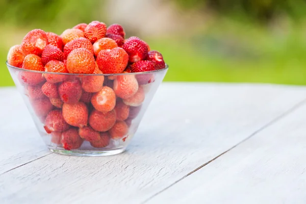 Cuenco con fresas maduras — Foto de Stock