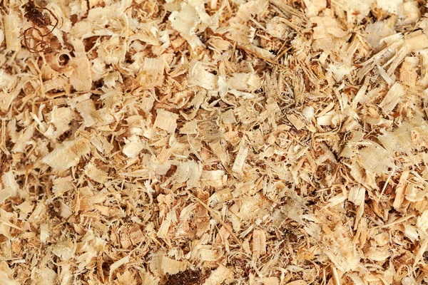Wood Sawdust Texture — Stock Photo, Image