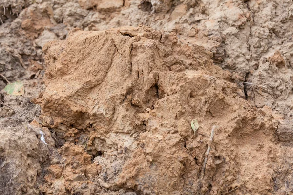 Fondo marrone del suolo — Foto Stock