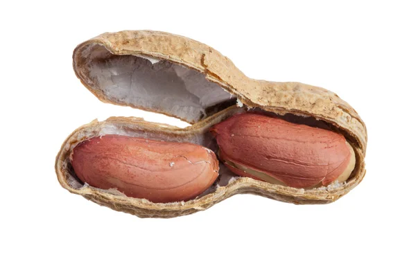 Amendoins crus em Shell — Fotografia de Stock