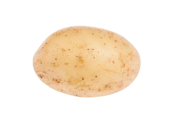 Single ripe potato — Stock Photo, Image