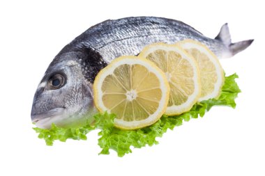 ham dorado balığı