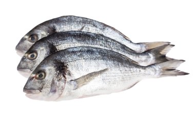 taze dorado balığı