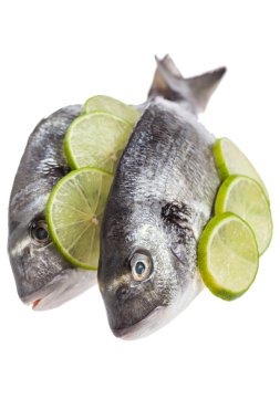 ham dorado balığı