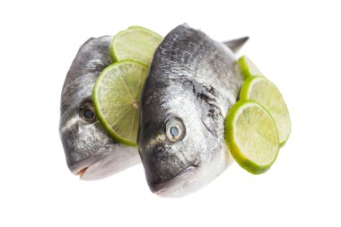 ham dorado balığı