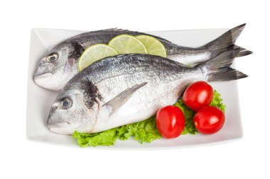 ham dorado balığı