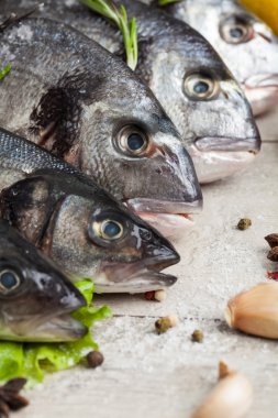 ham dorado balığı