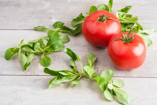 Ripe tomatoes with basil leaves — Stock Photo, Image