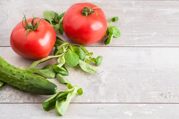 Tomates maduros com folhas de manjericão — Fotografia de Stock