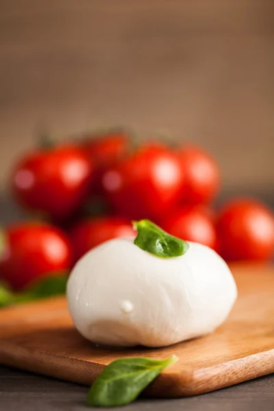 Mozzarella con tomates y albahaca — Foto de Stock