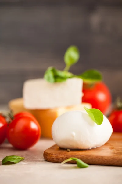 配西红柿和罗勒的莫扎莱 — 图库照片