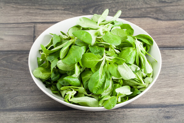green basil leaves