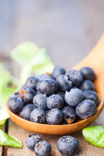 Organic blueberries in spoon — Stock Photo, Image