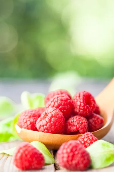 Ripe red raspberries — Stock Photo, Image