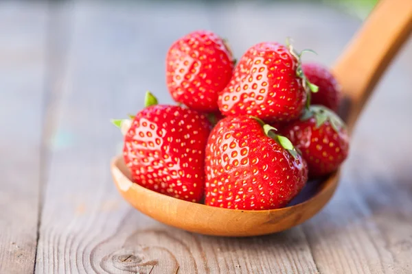 Fresas rojas maduras — Foto de Stock