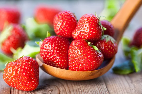 Fresas rojas maduras — Foto de Stock