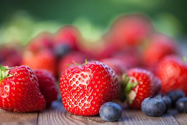 Frambuesas, fresas y arándanos — Foto de Stock