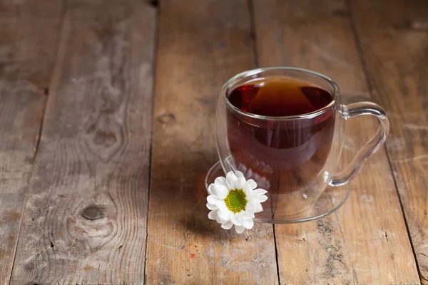 Papatya ile bitkisel çay — Stok fotoğraf