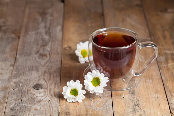 Bitki çayı ile chamomilies — Stok fotoğraf
