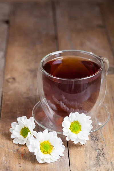 Herbal tea with chamomilies — Stock Photo, Image