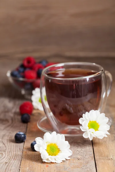 Bitki çayı ile chamomilies — Stok fotoğraf