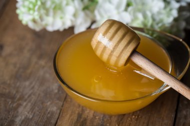 Bal ayı ile tatlım