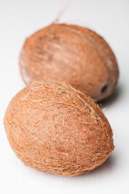 Beyaz üzerine iki Hindistan cevizi