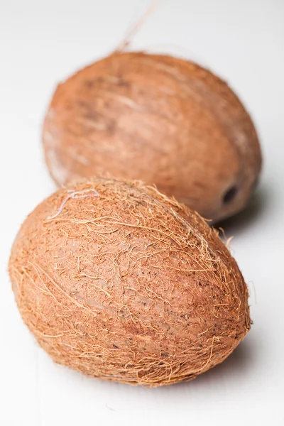 Two coconuts on white — Stock Photo, Image