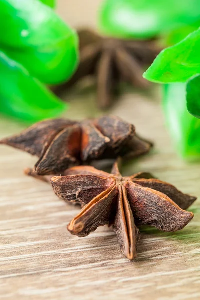 Spices. Anise stars — Stock Photo, Image