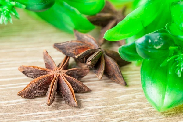 Spices. Anise stars — Stock Photo, Image