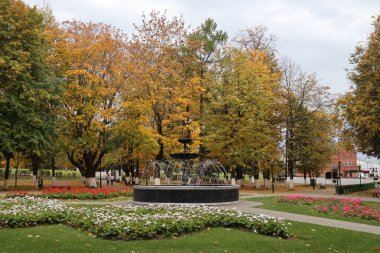 Sonbahar manzarası - ağaçta sarı yapraklar, yerde sarı yapraklar, parkta sonbahar, mevsim, yolda yürüme.