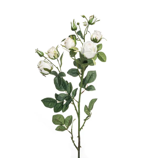 Fleurs Plantes Réalistes Pour Les Compositions Créateurs Décoration Intérieure Des Images De Stock Libres De Droits