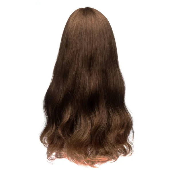 Menselijke Pruik Een Etalagepop Achteraanzicht Een Brunette Rechte Haren — Stockfoto