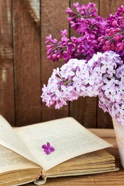 Eflatun çiçekler ve eski kitap